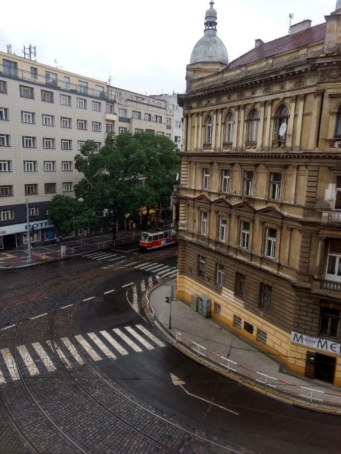 Irmas Vandrarhem Prag Exteriör bild